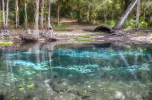 Cannon Springs