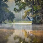 Heron Over Salt Springs Run