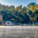 Salt Springs Marina