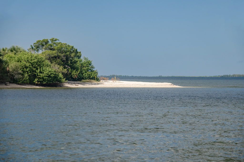 A Shell Island Beach