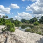 A Shell Island Lagoon