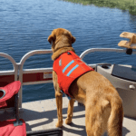 Chesney on the Bow