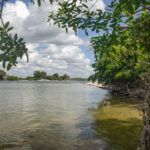 Crystal River at Shell Island