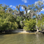 Homosassa-River-Rest-Stop