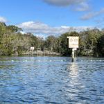 Homosassa-Spring-Head