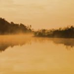 Orange Mist