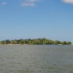 Shell Island