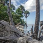 Shell Island West Shore