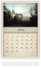 image observations cal apr