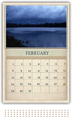 image observations cal feb