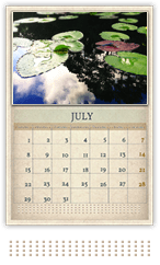 image observations cal jul