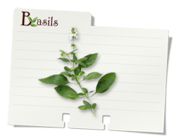 image-noteCard_basil