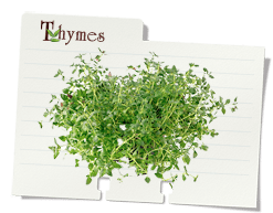 image-noteCard_thyme