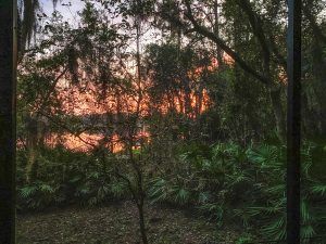 A New View of the Lake