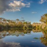 Alexander Springs flows into the St. Johns