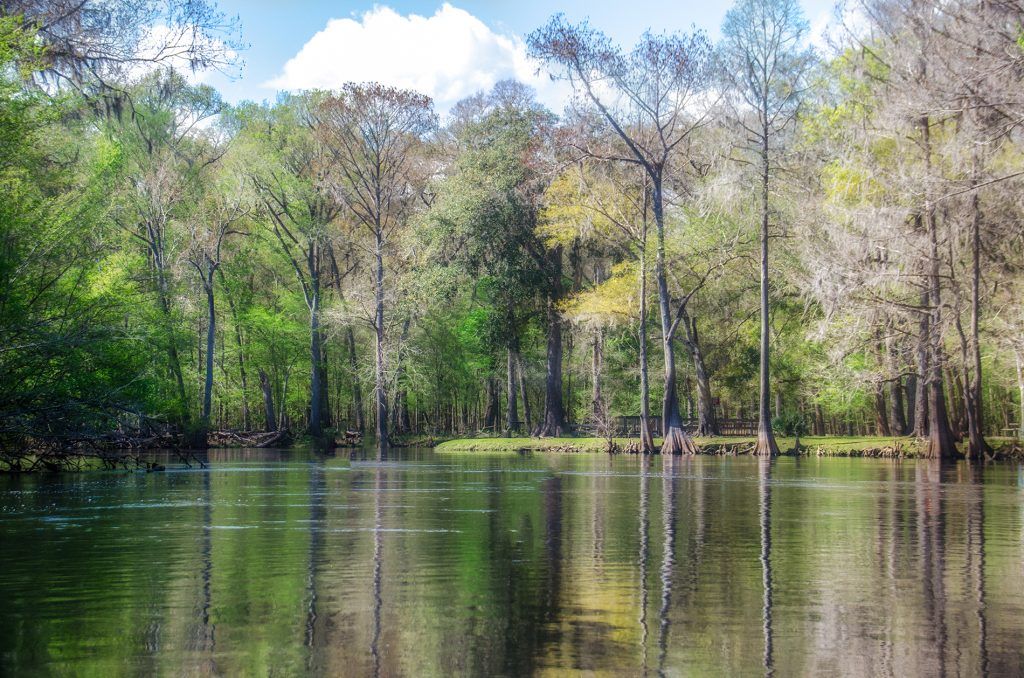 Approaching Rum Island from the Santa Fe River