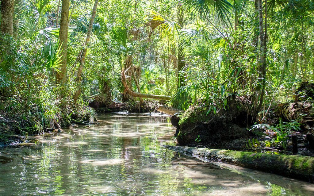 Baird Creek