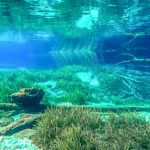 Below Rainbow River