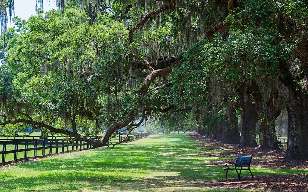 Boone Plantation