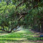 Boone Plantation