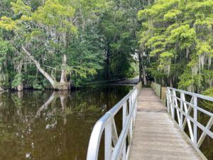 Browns Landing