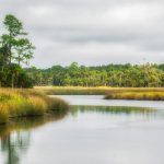 Bulow Creek
