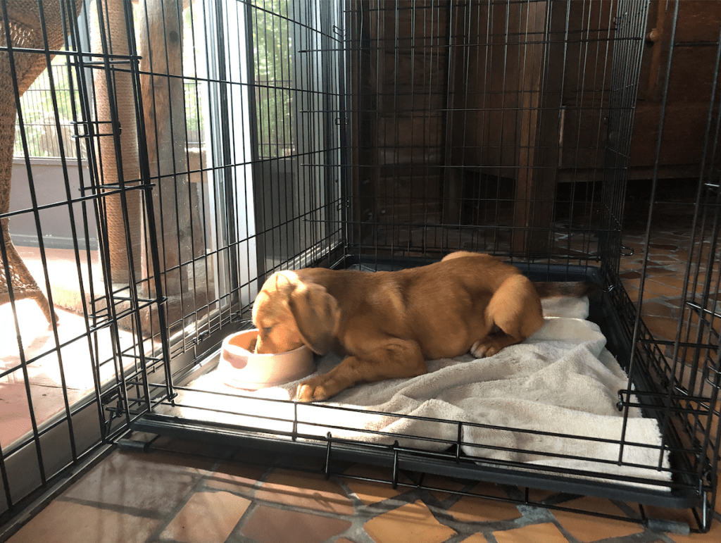Chesney - Dinner in the Crate