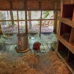 Chicken Coop Inside