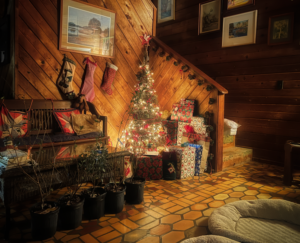 Christmas 2022