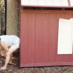 Donna Paints the Gate