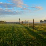 Fence line in the morning