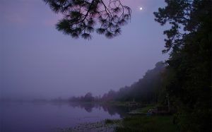 Foggy Moonlit Sunrise