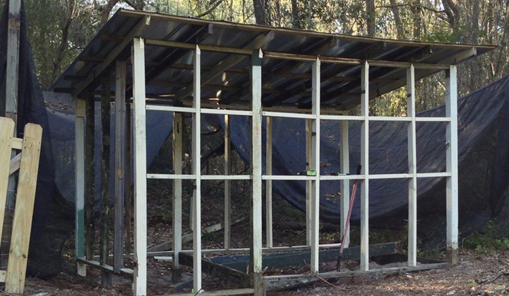 Frame and Roof Complete