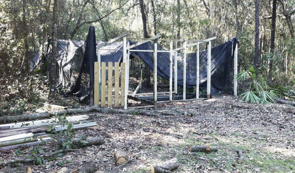 Framing the Hen House