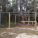 Greenhouse-Feb-12-2013