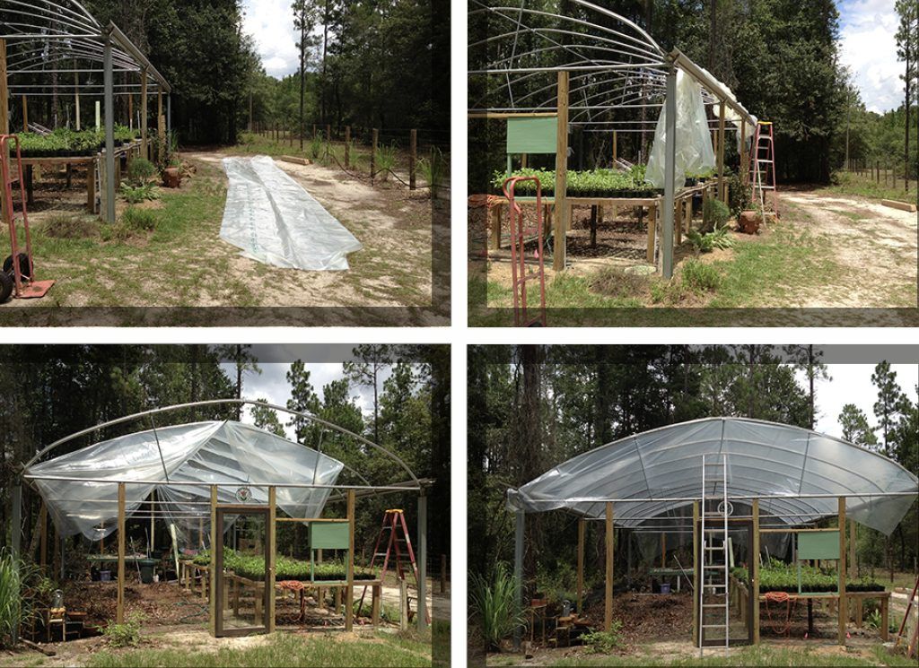 Greenhouse film up July 31 2013