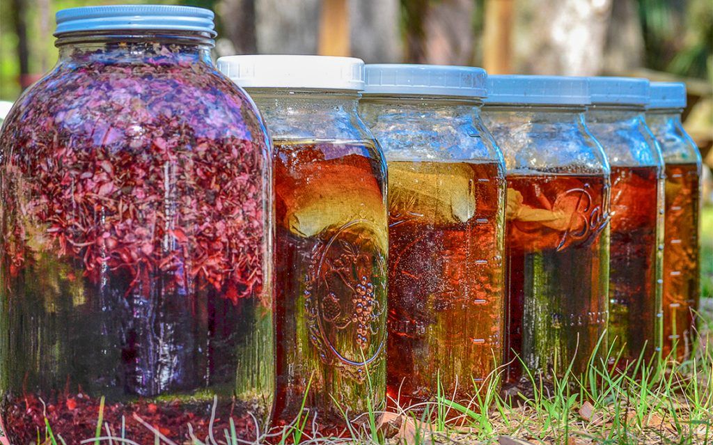 Herbal Sun Tea