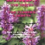 Herbs and Spices for Florida Gardens