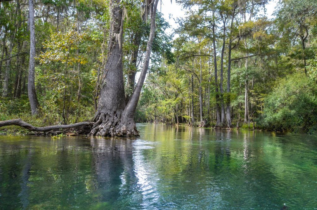 Ichetucknee River