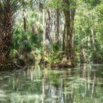 Island in Indian Creek