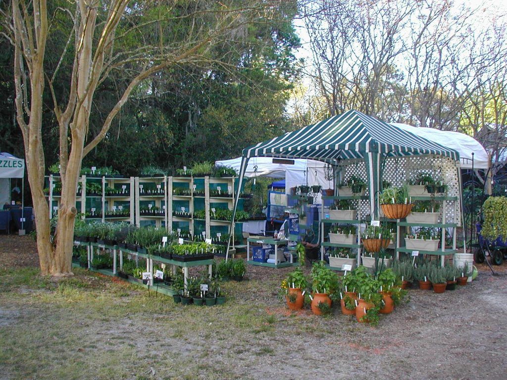 Kanapaha Garden Festival 2007