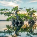 Lake Disston