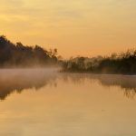 Morning Mist - Salt Run