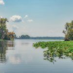 Ocklawaha River meets the St Johns River