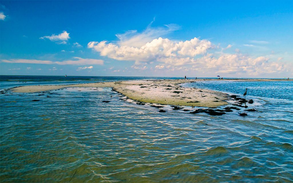 Pet Beach
