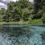 Rainbow River Head Spring