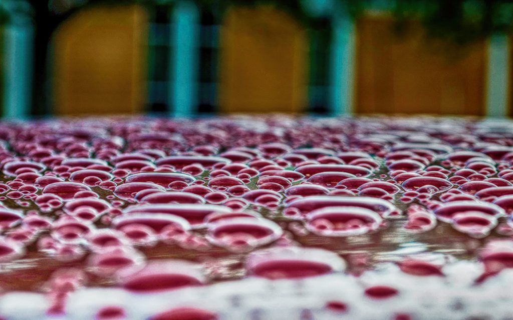 Raindrops-Donnas Roof