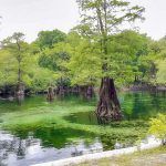 Rock Bluff Spring