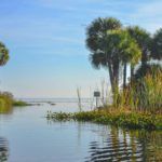 Salt Creek Run meets Lake George