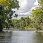 Salt Springs Run View